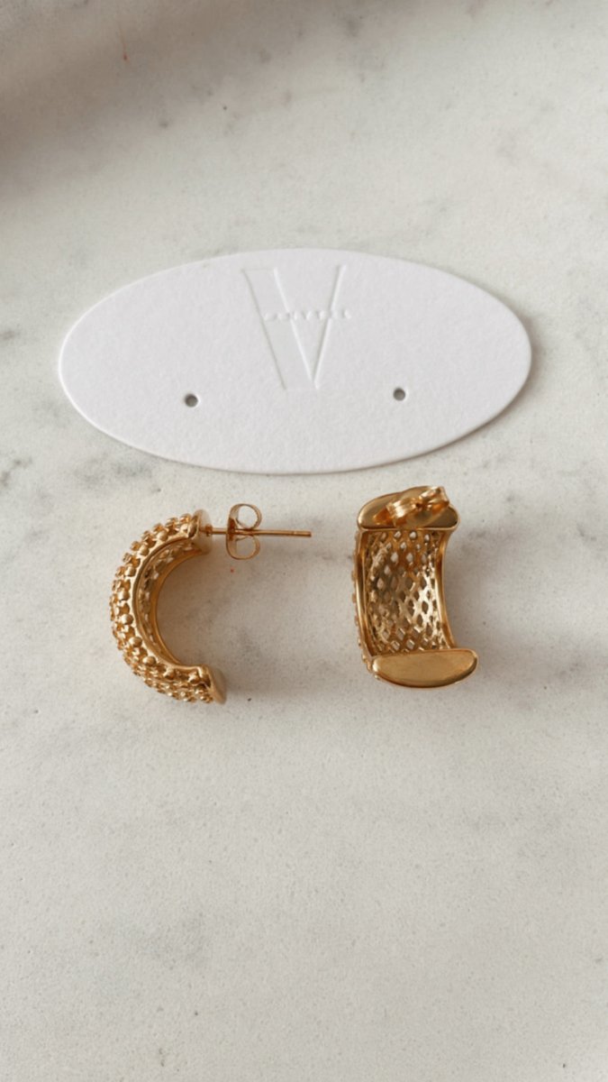 Darlin Stud Earrings, Women, Stainless Steel - VANYTEL - Vanytel