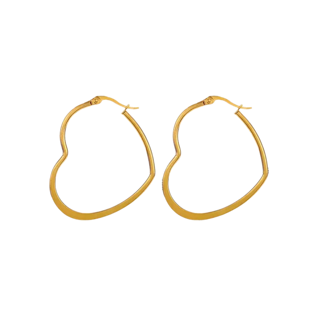 Variedad de Hoops en Acero Inoxidable, Trendy, Women - Vanytel 