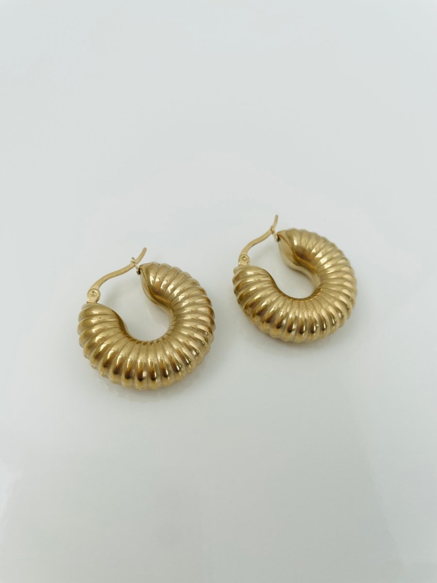 Cairo hoops Earrings - VANYTEL - Vanytel